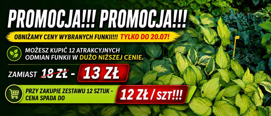 Funkie promocja
