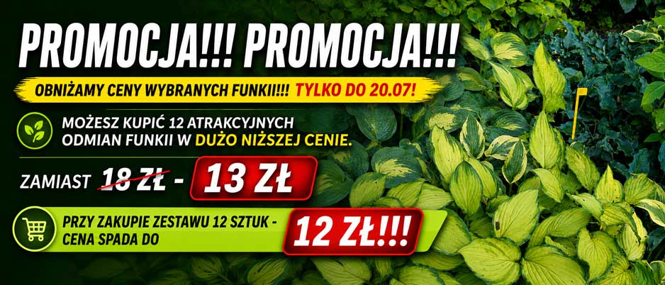 Promocja - Funkie