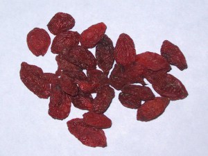 Jagody Goji - jagody życia (Lycium barbarum) c2 zdjęcie 5
