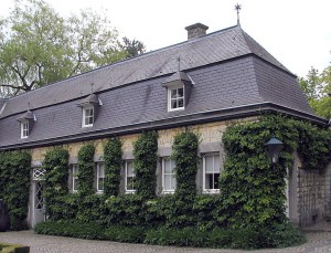 Hortensja pnąca (Hydrangea petiolaris) zdjęcie 8