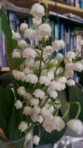 Konwalia majowa (Convallaria majalis) zdjęcie 4