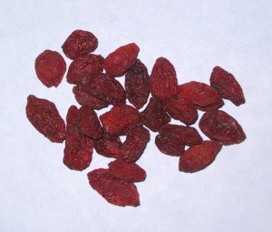 Jagody Goji (Lycium barbarum) XXL sadzonka zdjęcie 4