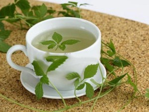 Jiaogulan (Gynostemma pentaphyllum) zioło 1