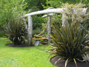 Len nowozelandzki (Phormium tenax) Purpureum zdjęcie 8