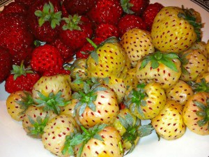 truskawka_ananas_51192bcb12c06.jpg