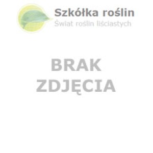 brak-zdjecia